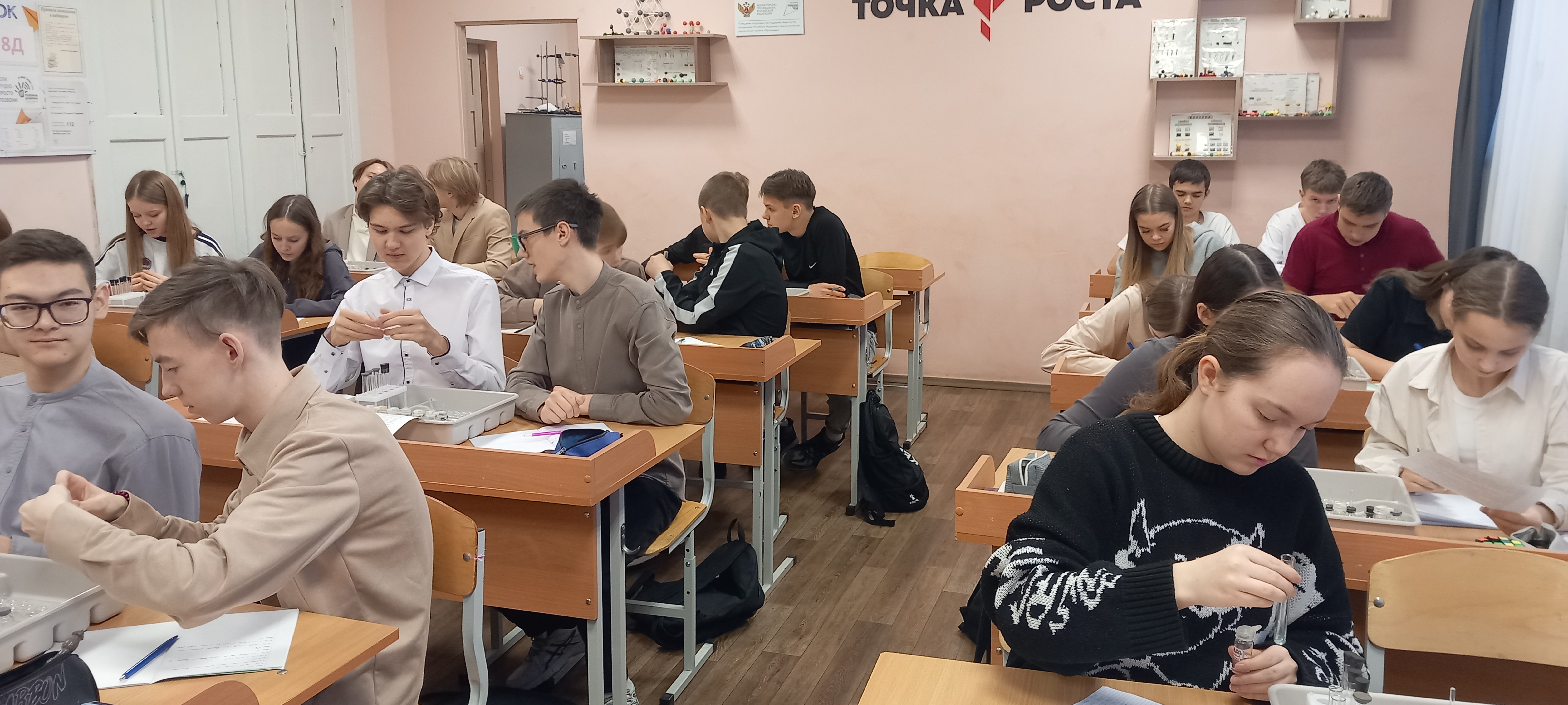 Свойства серной кислоты.