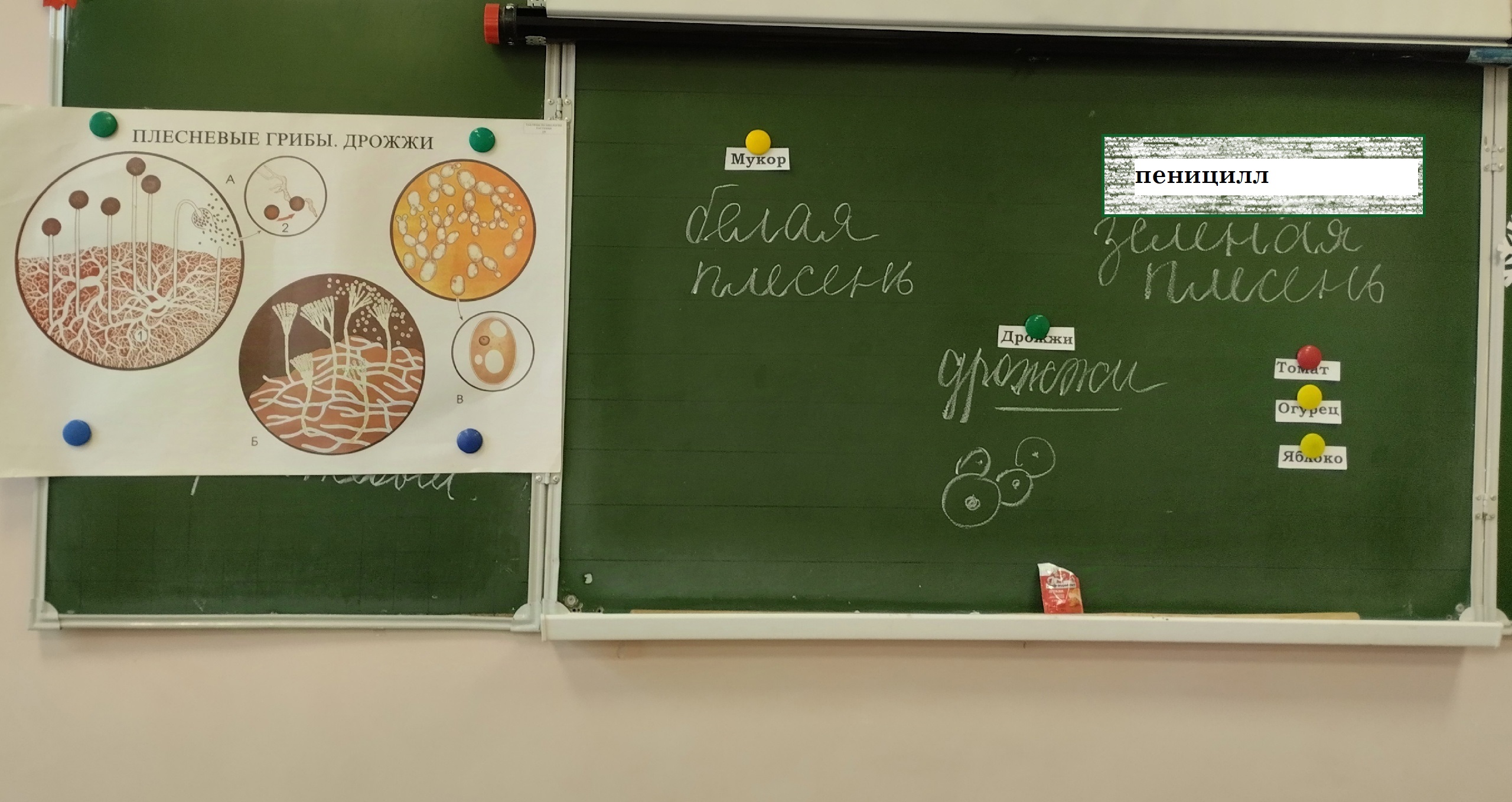 «Занятие-практикум».