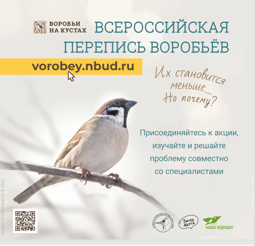День науки.